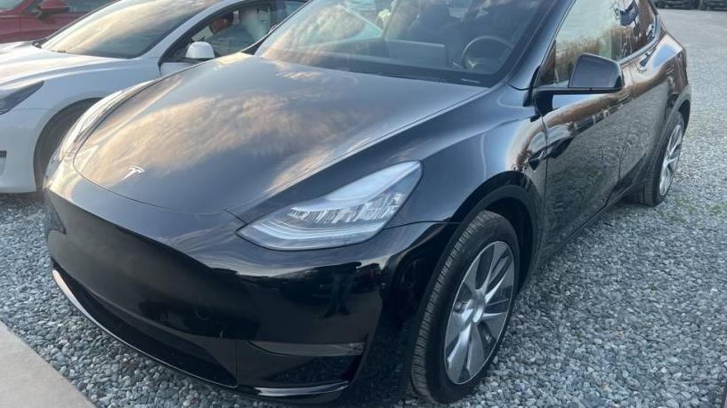 TESLA MODEL Y 2020 5YJYGDEE5LF032880 image